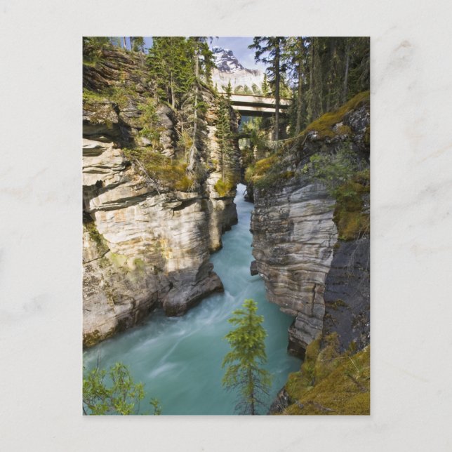 Cartão Postal Canadá, Alberta, Parque Nacional Jasper, Athabasca (Frente)