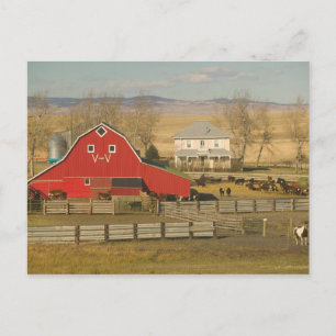 Cartão Postal Canadá, Alberta, Pincher Creek: Celeiro Vermelho e