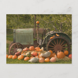 Cartão Postal CANADA, British Columbia, Keremeos. Autumn / 2