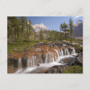Cartão Postal Canadá, Colúmbia Britânica, Parque Nacional Yoho. 
