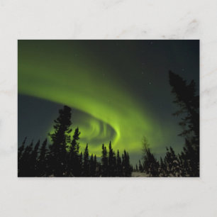Cartão Postal Canadá, Manitoba. Vista da aurora boreal e