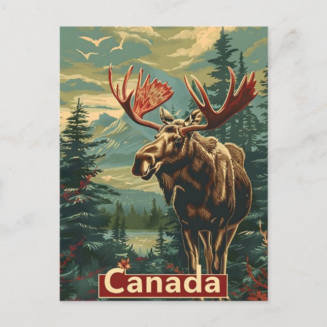 Cartão Postal Canada Moose Vintage (Frente)