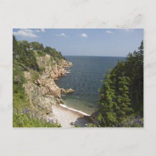 Cartão Postal Canadá, Nova Escócia, Ilha Cape Breton, Cabot