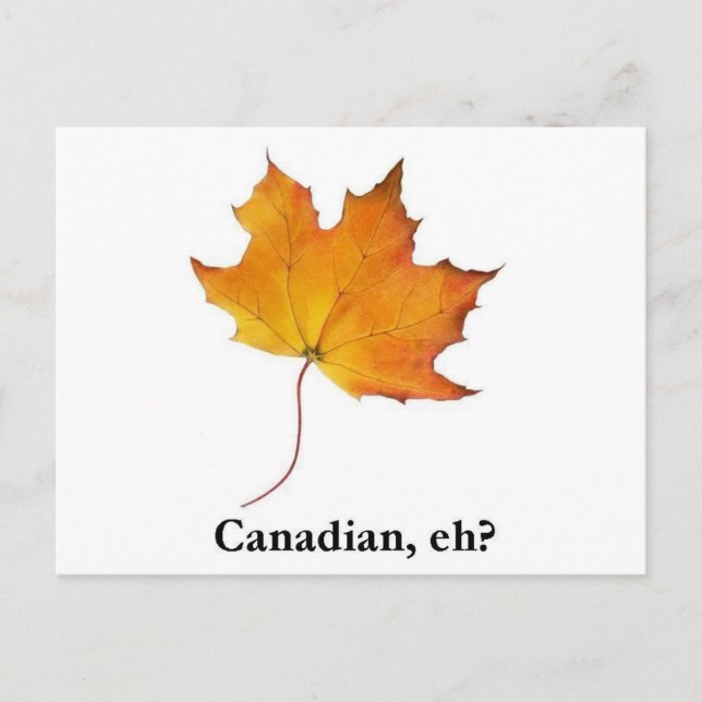 Cartão Postal Canadense Maple Leaf (Frente)