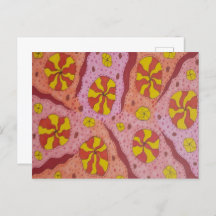 Canais Cósmicos Rosa