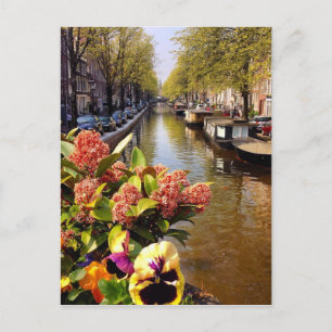 Cartão Postal Canal de Amsterdã Sunny Fall Day Bloemgracht