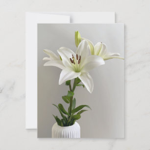 Cartão Postal Canção de Ninar de Lírio   Pintura Floral Simples 