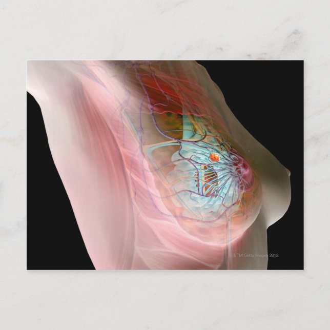 Cartão Postal Cancer (Frente)