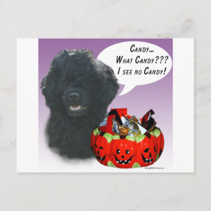 Cartão Postal Candi de Halloween, Cachorro Português