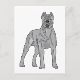 Cartão Postal Cane Corso