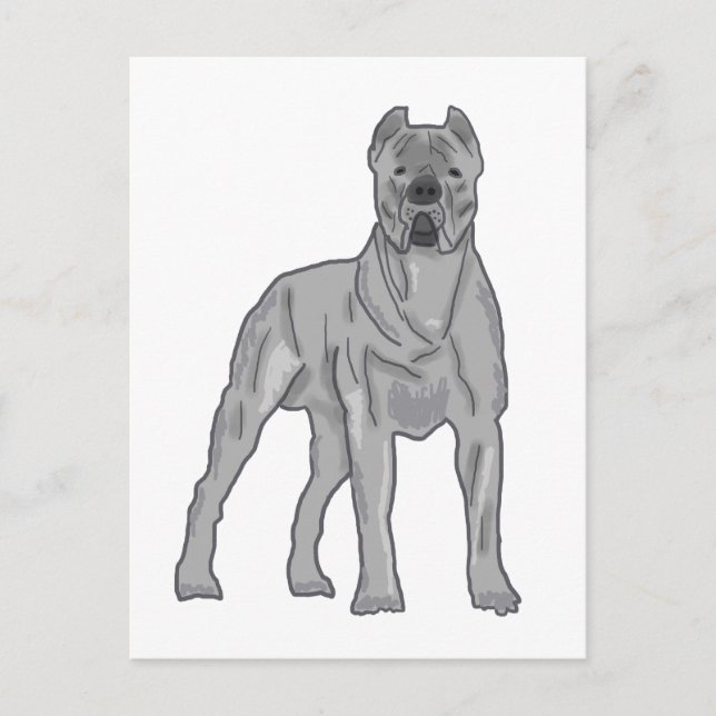 Cartão Postal Cane Corso (Frente)