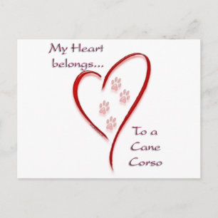 Cartão Postal Cane Corso Heart Pertence