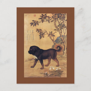 Cartão Postal Cangni 苍 猊 ~ Tibetano Mastiff ~Giuseppe Castig