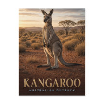 Canguru Vida Selvagem no Interior Australiano ANIM