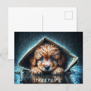 Cartão Postal Canino úmido e coração em tempo tempestuoso