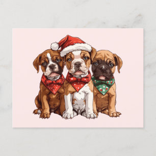 Cartão Postal Caninos de Natal