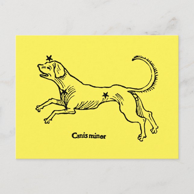 Cartão Postal Canis Minor, 1482 (Frente)