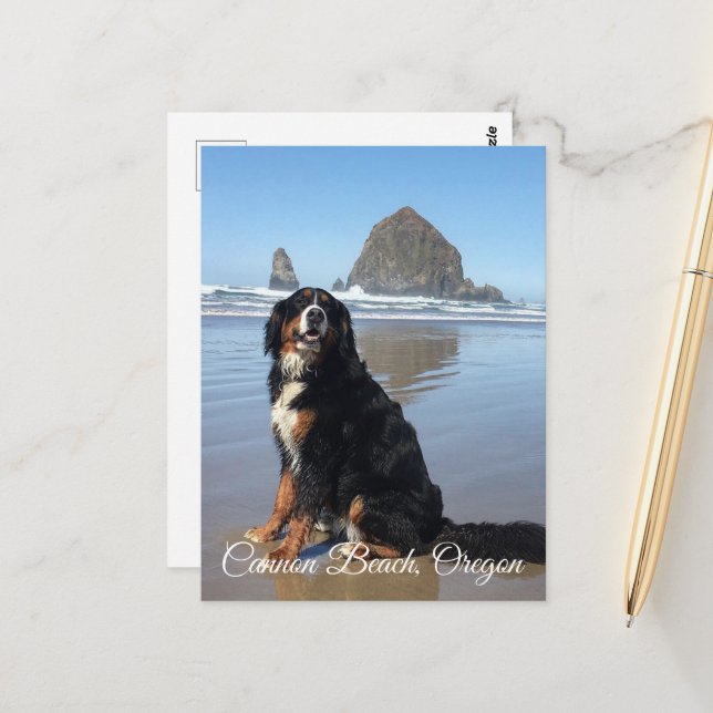 Cartão Postal Cannon Beach Oregon (Frente/Verso In Situ)