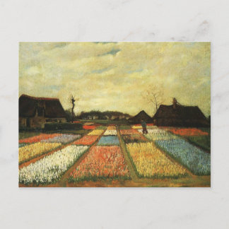 Cartão Postal Canteiros de flores na Holanda