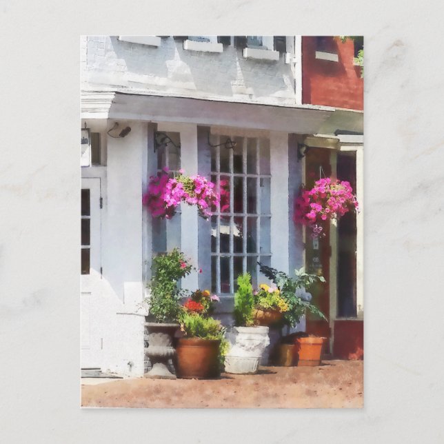 Cartão Postal Canto da King Street e S Alfred Alexandria VA (Frente)