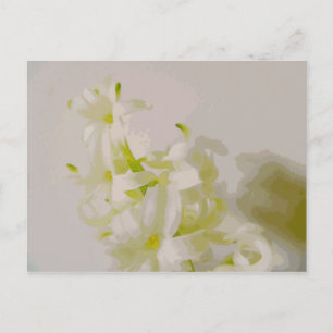 Cartão Postal Canvas