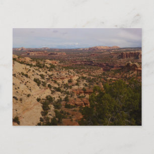 Cartão Postal Canyonlands View da Trilha de Primaveras do Pescoç