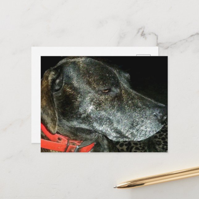 Cartão Postal Cão Adorável (Frente/Verso In Situ)