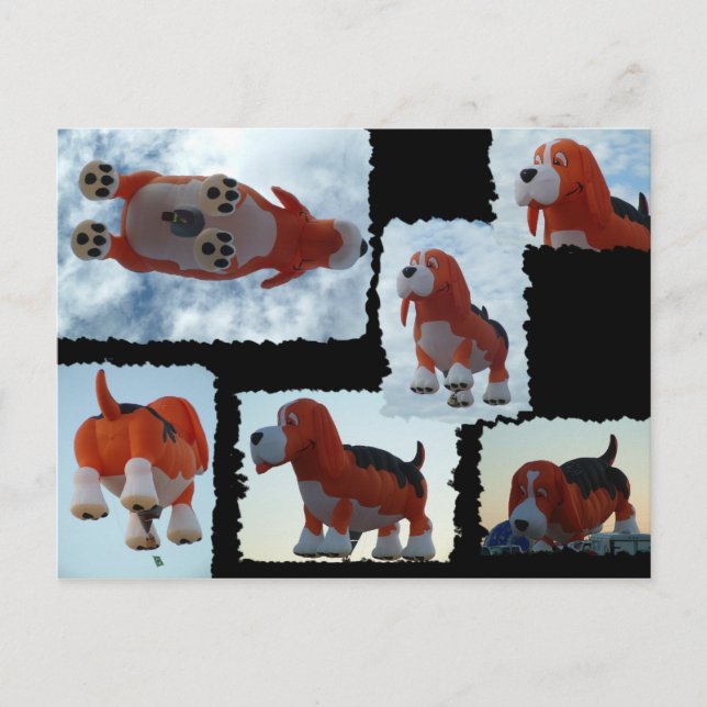Cartão Postal Cão Balão Fiesta (Frente)