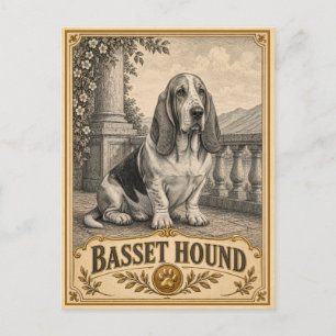 Cartão Postal Cão Basset Hound, Cão Patrimônio Vintage