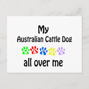 Cartão Postal Cão Bovino Australiano