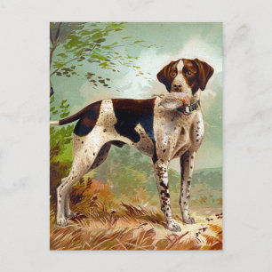 Cartão Postal Cão caçador com pássaro na boca
