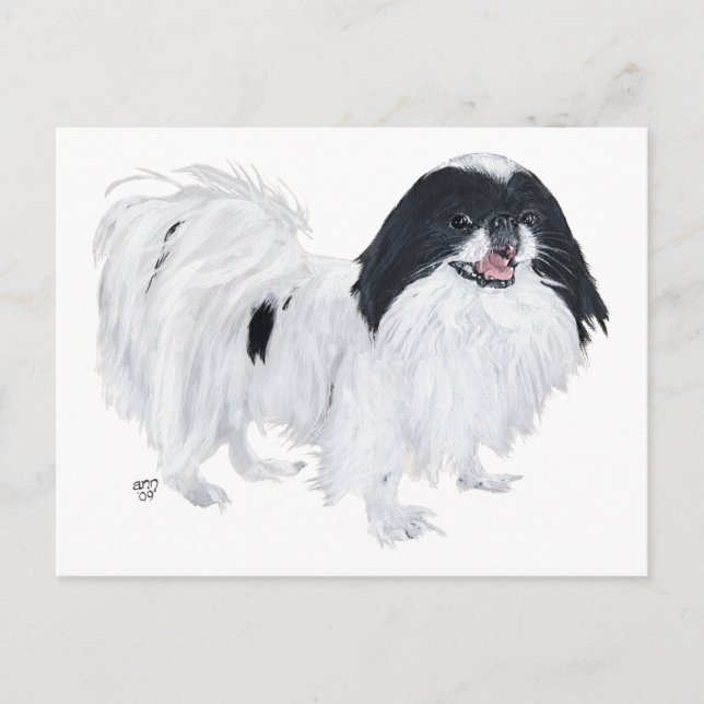 Cartão Postal Cão Chin Japonês (Frente)