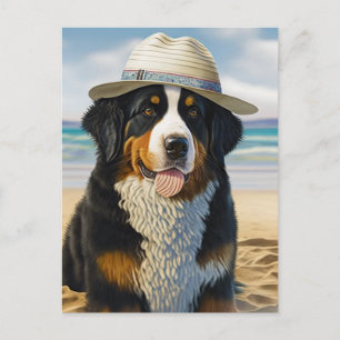Cartão Postal Cão da Montanha Bernese na Praia