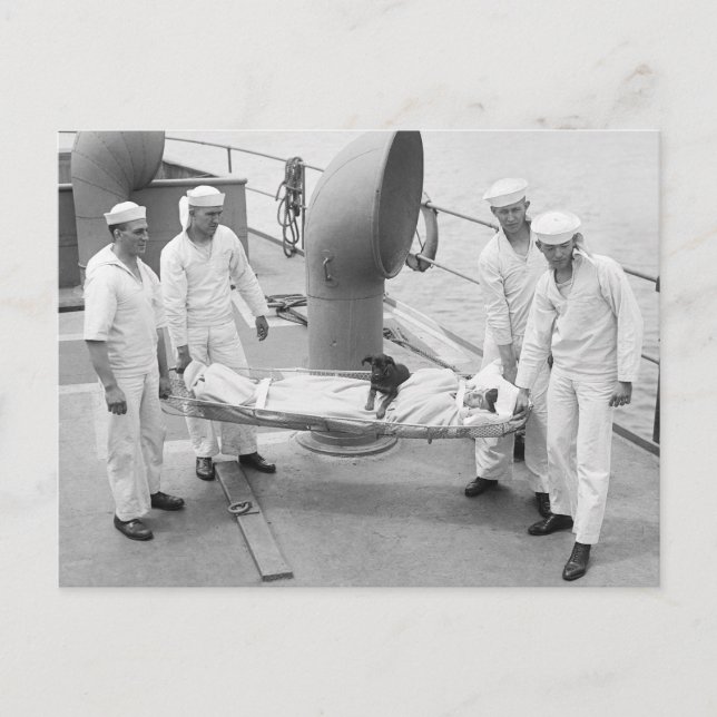 Cartão Postal Cão da Terapia, início dos anos 1900 (Frente)