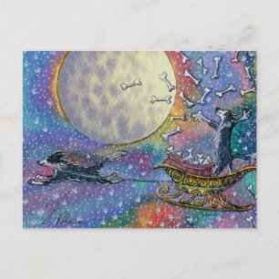 Cartão Postal Cão-de-borda-Collie lançando ossos ao mundo