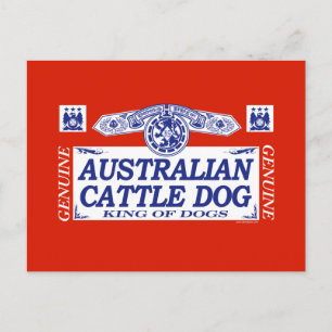 Cartão Postal Cão de Bovinos Australiano