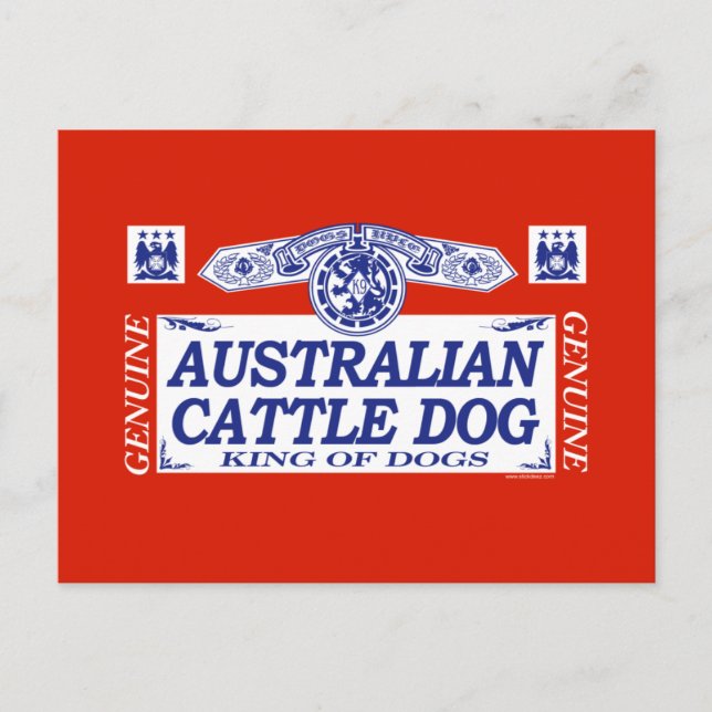Cartão Postal Cão de Bovinos Australiano (Frente)