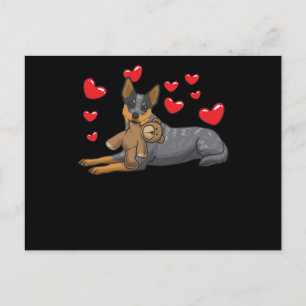 Cartão Postal Cão De Bovinos Australiano Com Animais Enchidos E