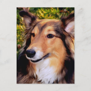 Cartão Postal Cão de Emergência