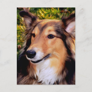 Cartão Postal Cão de Emergência