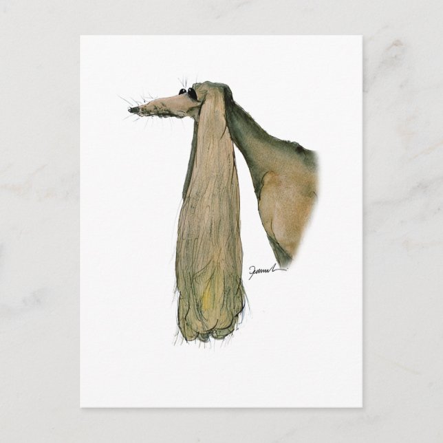 Cartão Postal cão-de-galinha, tony fernandes (Frente)