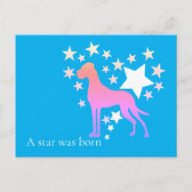 Cão de Grande Porte Personalizado Estrela
