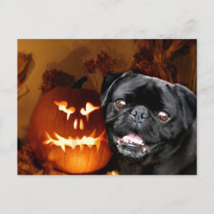 Cartão Postal Cão de Halloween Pug