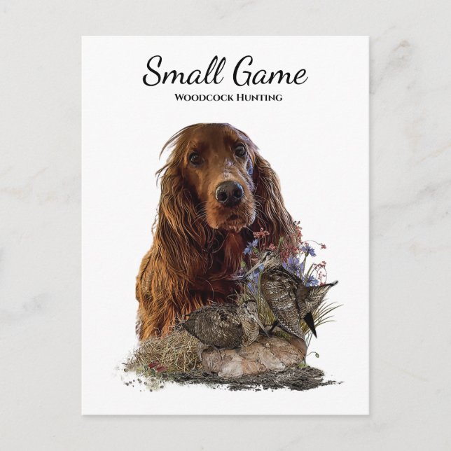 Cartão Postal Cão-de-pássaro, caça à galinha (Frente)