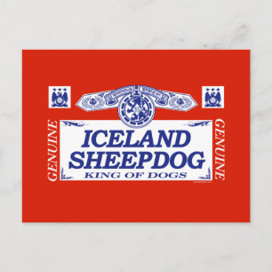 Cartão Postal Cão de Pastor Islandês