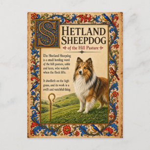 Cartão Postal Cão de Pastoreio de Shetland, Arte de Bestiário Me