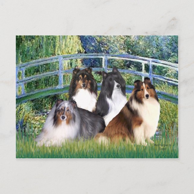 Cartão Postal Cão de Pastoreio de Shetland (quatro) - Ponte (Frente)