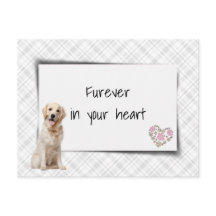 Cão de Raça Retriever Dourado Simpatia Perda