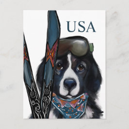 CARTÃO POSTAL CÃO DE TERRA NOVA