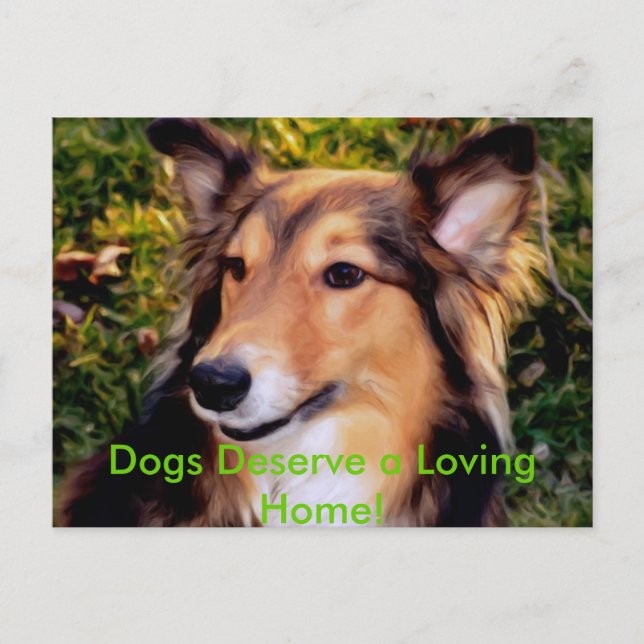 Cartão Postal Cão do salvamento (Frente)